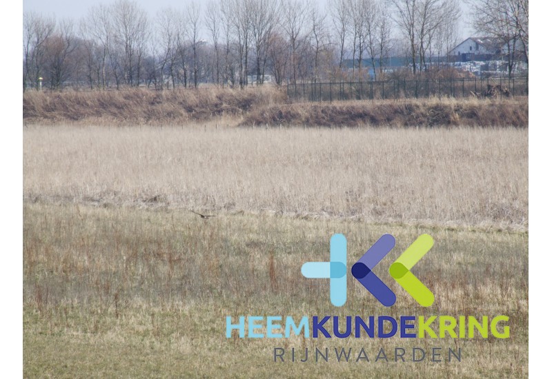 2006-13-03 Geuzenwaard (36)